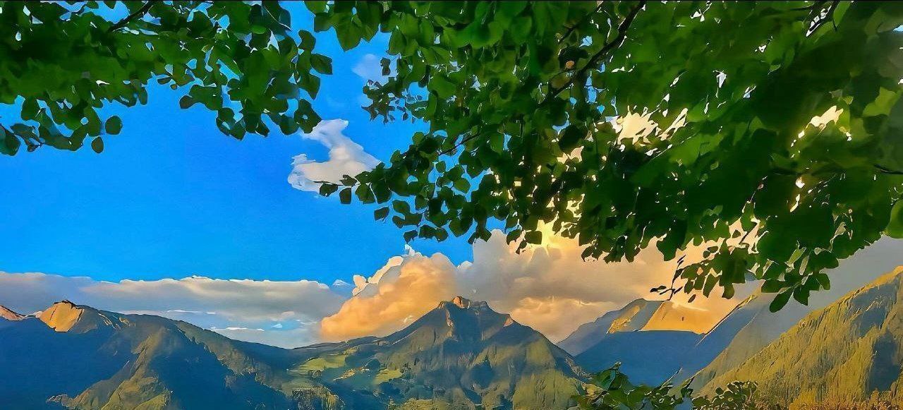 99国产精品久久久-完整版高清完整视频完整版免费播放 - 免费高清...